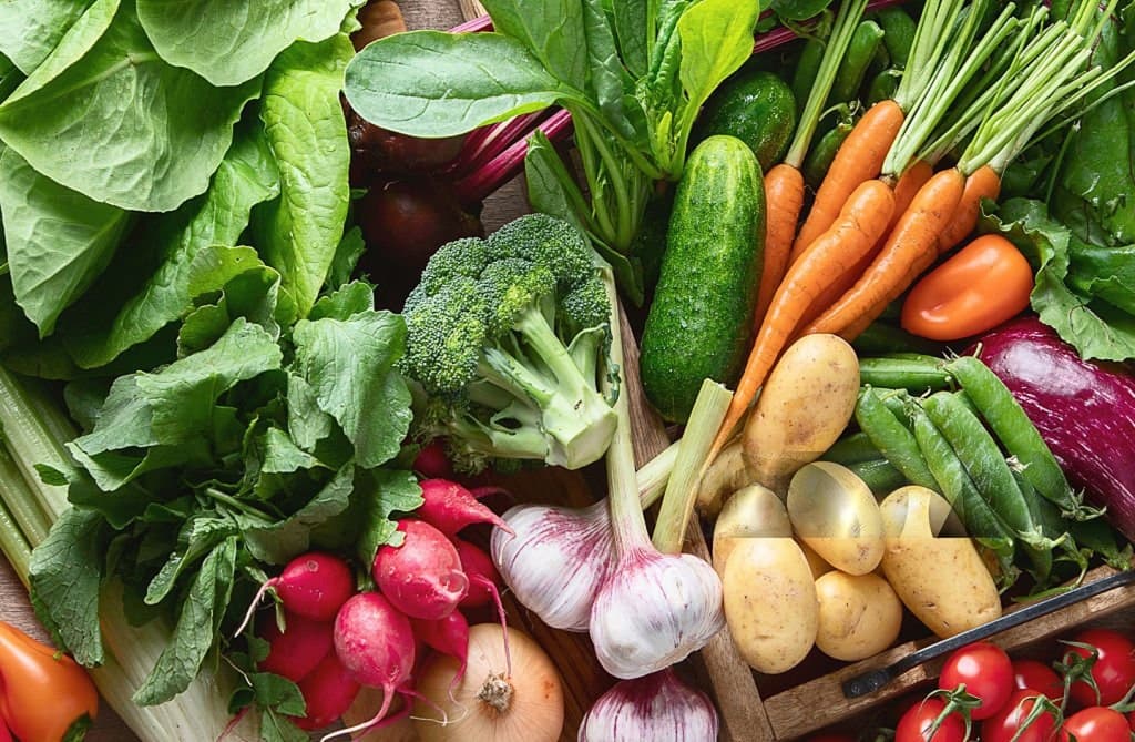 About Jatakyie Organic Farms banner